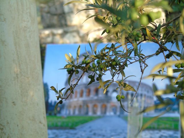 Il matrimonio di Daniele e Sara  a Casaprota, Rieti 20