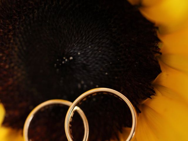 Il matrimonio di Daniele e Alice a Besana in Brianza, Monza e Brianza 74