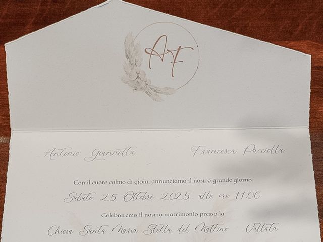 Il matrimonio di Francesca e Antonio a Vallata, Avellino 16