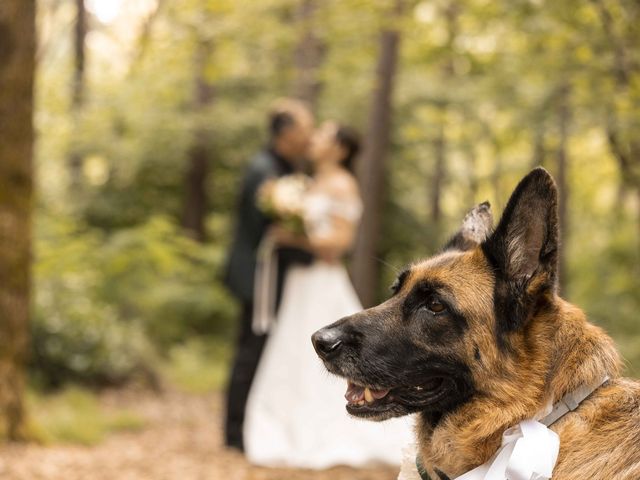 Il matrimonio di Paolo e Carola a Appiano Gentile, Como 11
