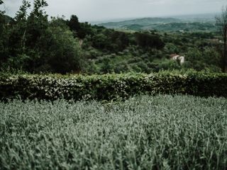 Le nozze di Emily e Steven 2