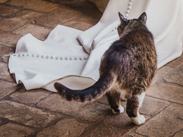 Il matrimonio di Andrea e Ilaria a Brugine, Padova 101