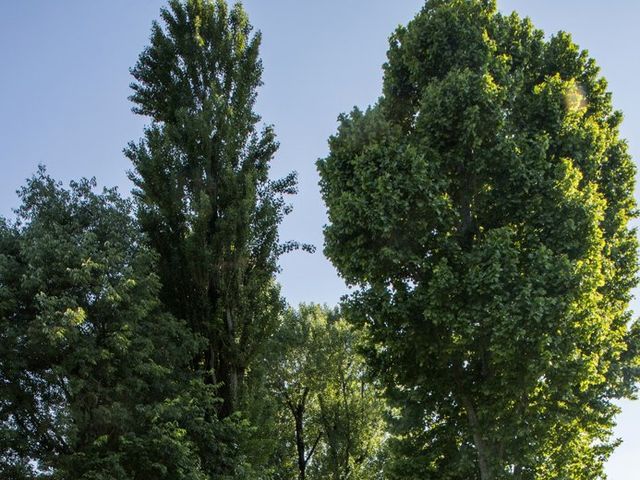 Il matrimonio di Giulio e Morena a Volta Mantovana, Mantova 60
