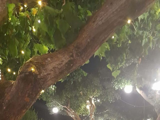 Il matrimonio di Vincenzo e Jeanette  a Grammichele, Catania 5