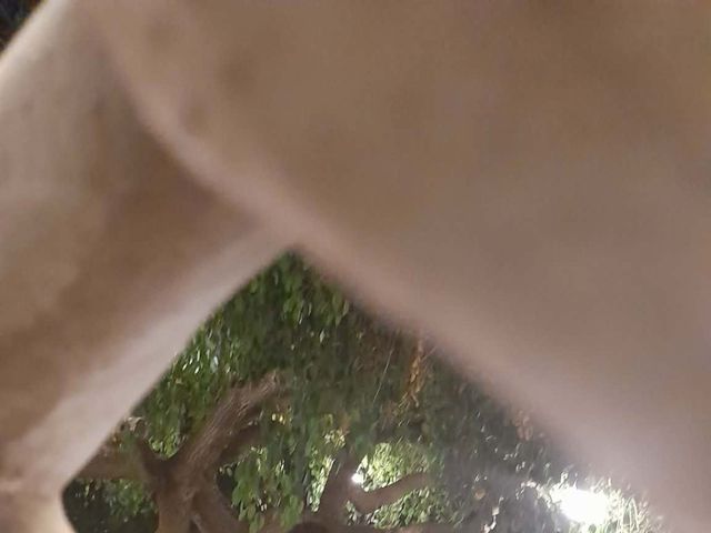 Il matrimonio di Vincenzo e Jeanette  a Grammichele, Catania 7