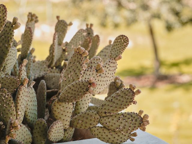 Il matrimonio di Oliver e Claire a Ostuni, Brindisi 2