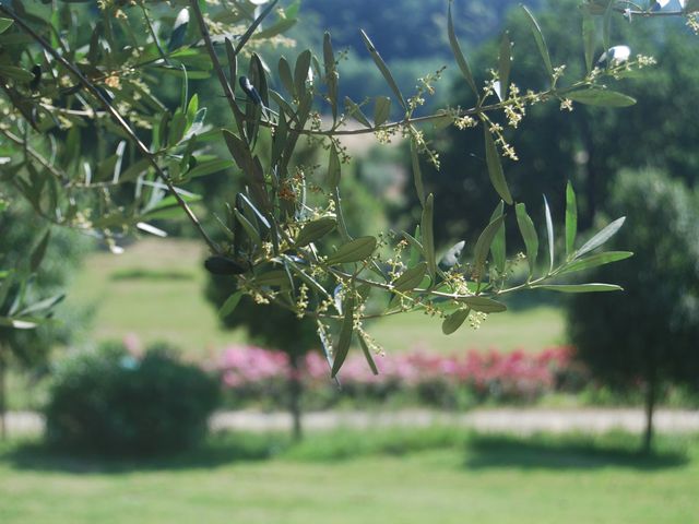 Il matrimonio di Francesco e Valentina a Roccantica, Rieti 5