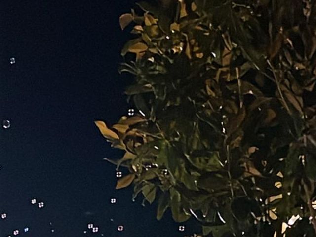 Il matrimonio di Simone e Alice a Roma, Roma 1
