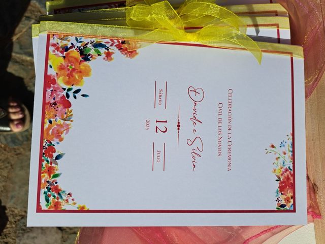 Il matrimonio di Davide e Silvia a Assemini, Cagliari 7