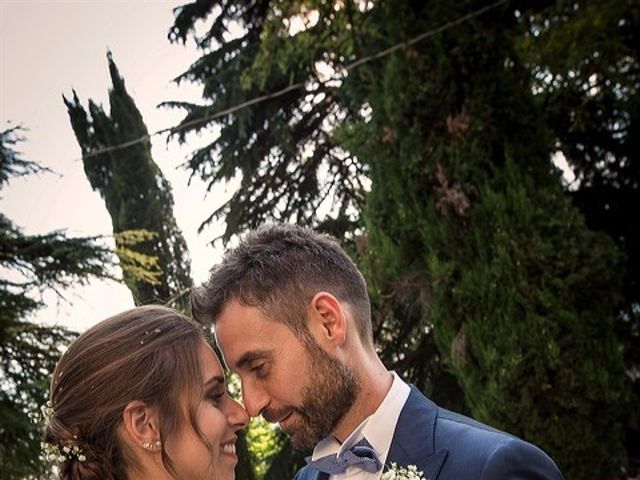 Il matrimonio di Fabio e Laura a Castelvetro di Modena, Modena 29