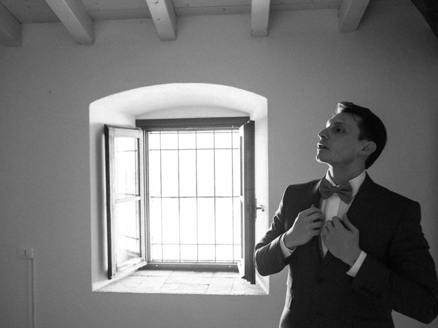 Il matrimonio di Michele e Arianna a Lonato del Garda, Brescia 7