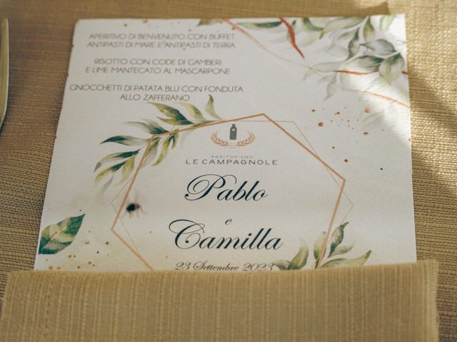 Il matrimonio di Camilla e Pablo a Milzano, Brescia 18