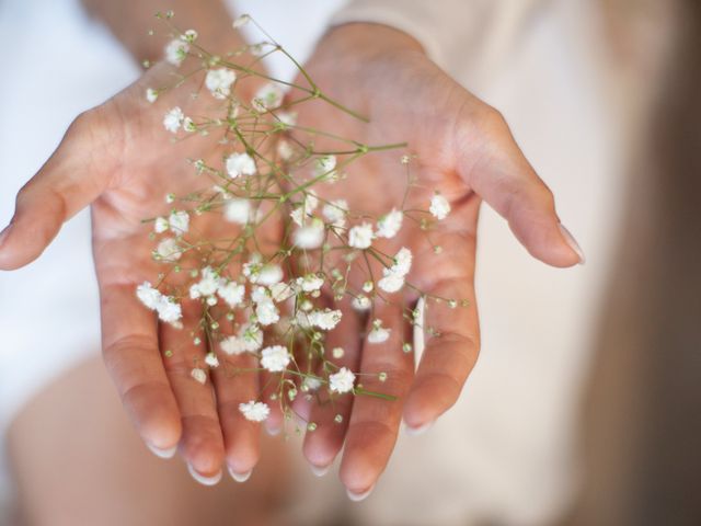 Il matrimonio di Armando  e Carolina  a Sissa, Parma 2