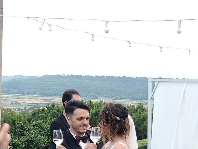 Il matrimonio di Davide e Francesca  a Fossacesia, Chieti 13