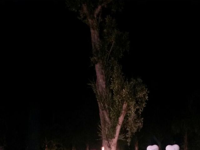 Il matrimonio di stefano e jessica a Castellana Grotte, Bari 30