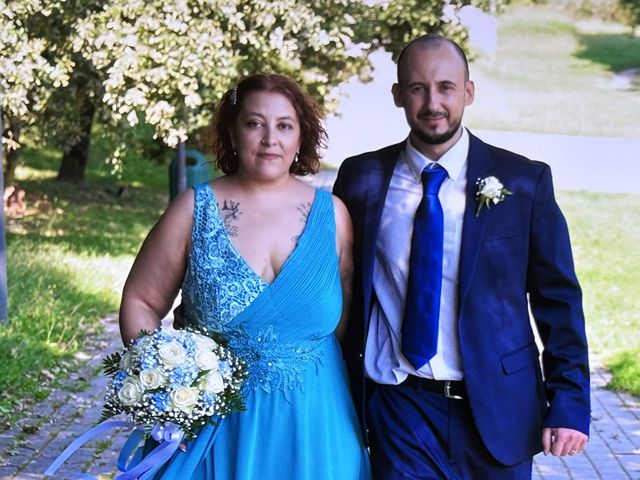 Il matrimonio di Riccardo  e Francesca a Paderno Dugnano, Milano 14