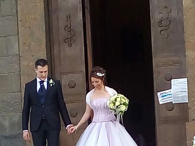 Il matrimonio di Erich e Alessandra  a Iseo, Brescia 3