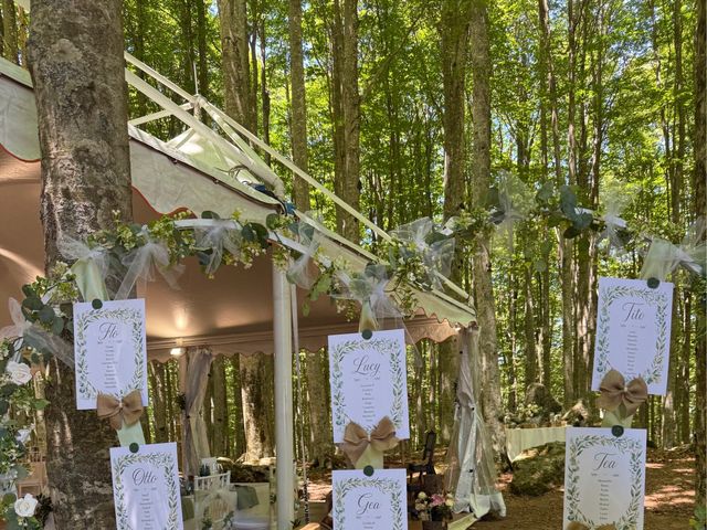 Il matrimonio di Paolo  e Anita a Castel del Piano, Grosseto 3