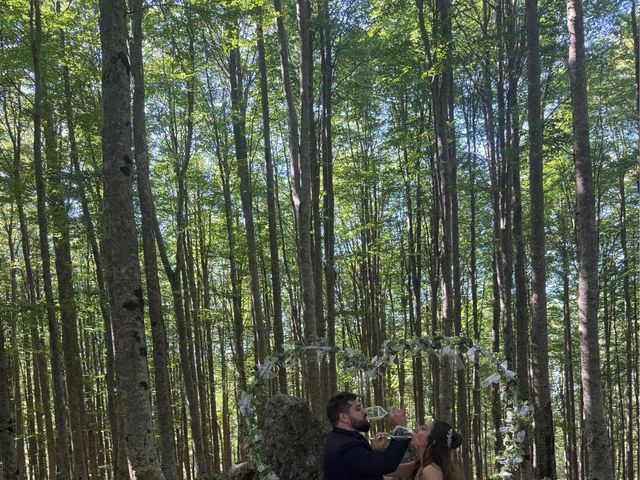 Il matrimonio di Paolo  e Anita a Castel del Piano, Grosseto 8
