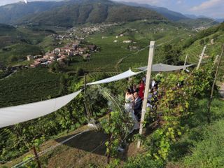 Le nozze di Elisa e Renato