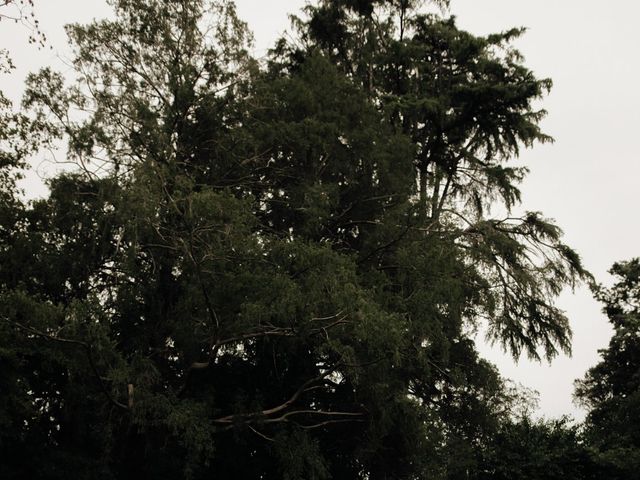 Il matrimonio di Lucio e Diletta a Treviso, Treviso 34