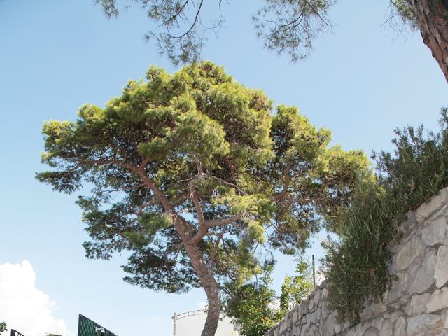 Il matrimonio di Sebastiano  e Michela a Sorrento, Napoli 17