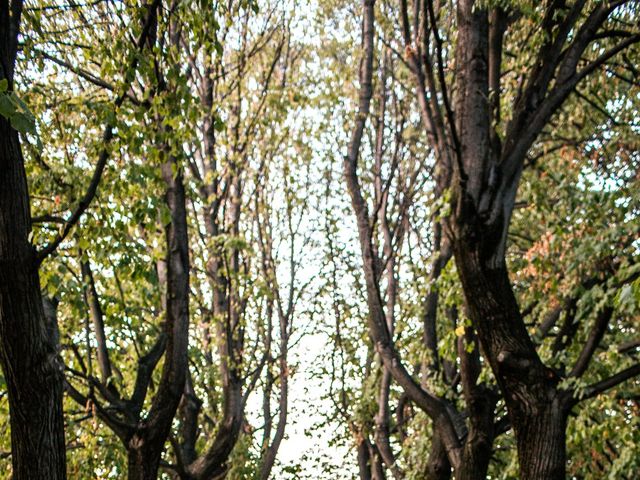 Il matrimonio di Fabrizio e Marta a Cavour, Torino 17