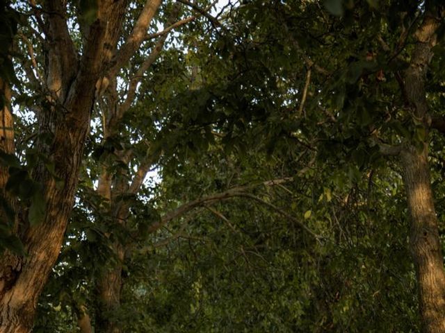 Il matrimonio di Niccolò  e Marika a Trecenta, Rovigo 9