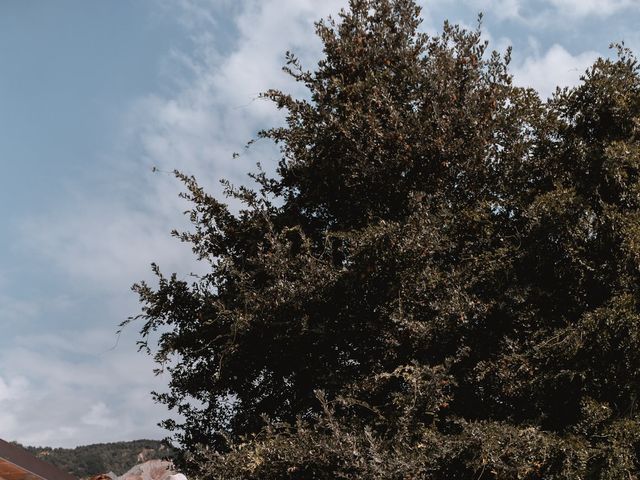 Il matrimonio di Alice e Giulia a Castel San Pietro Terme, Bologna 10