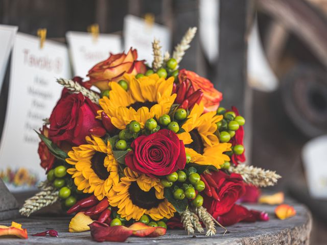 Il matrimonio di Massimiliano e Paola a Colorno, Parma 45