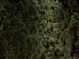 Le nozze di Livio e Linda 2