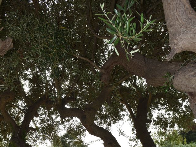 Il matrimonio di Florindo e Alessia a Bari, Bari 38