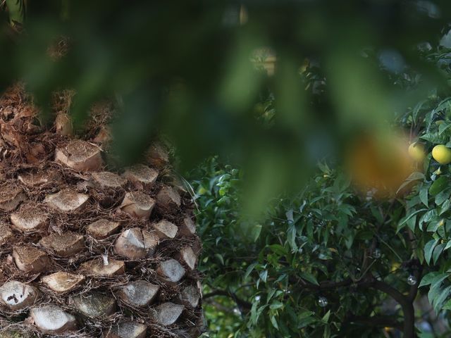 Il matrimonio di Amerigo e Margherita a Napoli, Napoli 47