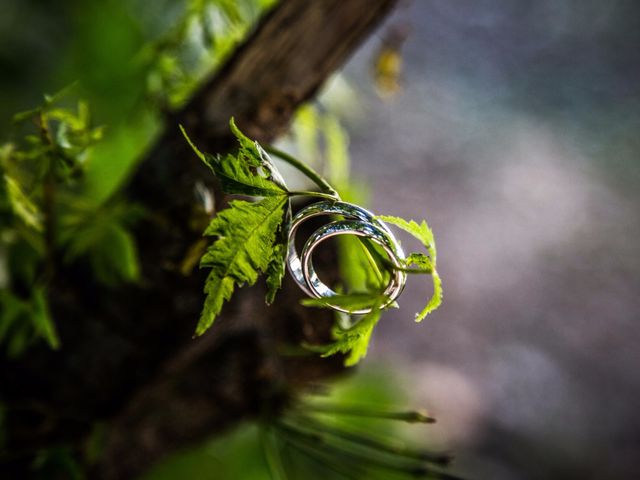 Il matrimonio di Luca e Viola a Misano di Gera d&apos;Adda, Bergamo 11