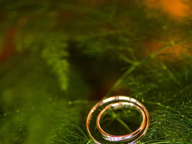 Il matrimonio di Mirko e Elena a Volta Mantovana, Mantova 6