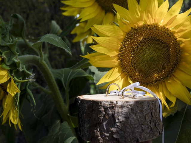 Il matrimonio di Riccardo e Francesca a Reggiolo, Reggio Emilia 2