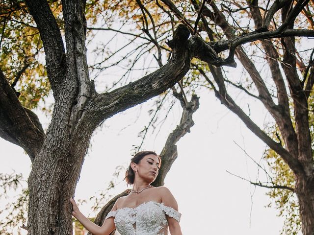 Il matrimonio di Alex e Vanessa a Brescia, Brescia 322
