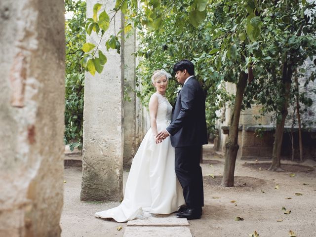 Il matrimonio di Nicolò e Erika a Garda, Verona 32
