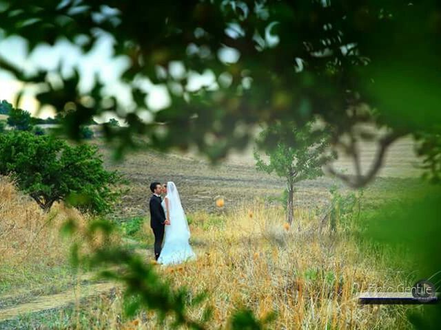 Il matrimonio di Luca  e Lorena  a Barrafranca, Enna 16