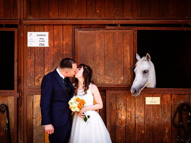 Il matrimonio di Alessandro e Erica a Concorezzo, Monza e Brianza 2