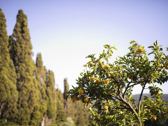 Il matrimonio di Micheal e Vicky a Monteriggioni, Siena 87