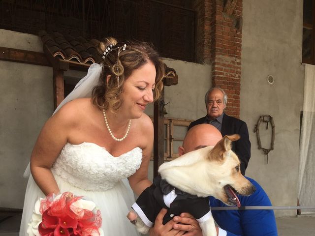 Il matrimonio di Michele  e Serena  a Gravellona Lomellina, Pavia 6