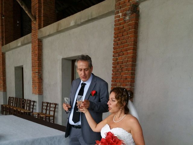 Il matrimonio di Michele  e Serena  a Gravellona Lomellina, Pavia 15
