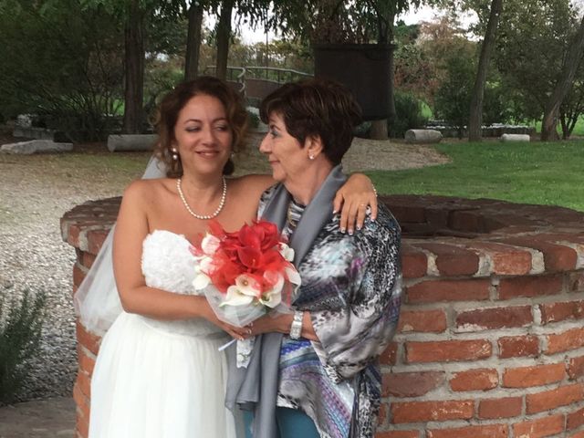 Il matrimonio di Michele  e Serena  a Gravellona Lomellina, Pavia 21
