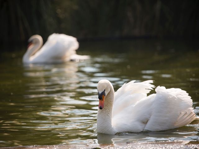 Il matrimonio di Giuliano e Marina a Caserta, Caserta 14