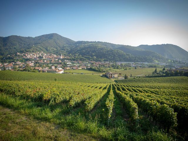 Il matrimonio di Antonio e Simona a Trescore Balneario, Bergamo 7