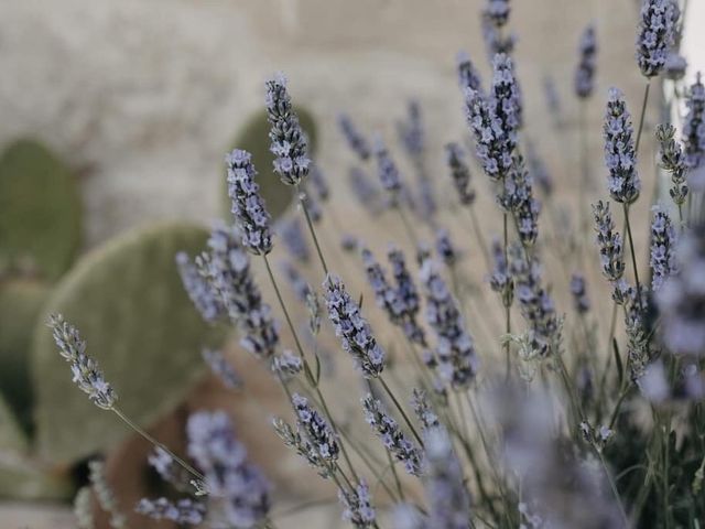 Il matrimonio di Vincenzo  e Elena  a Matera, Matera 17