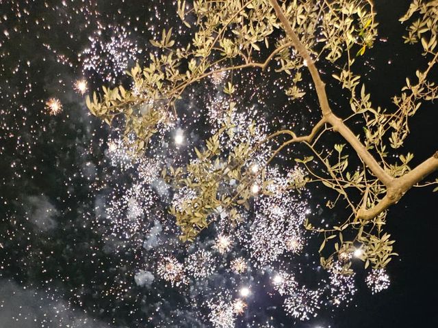 Il matrimonio di Davide e Flavia a Bari, Bari 5