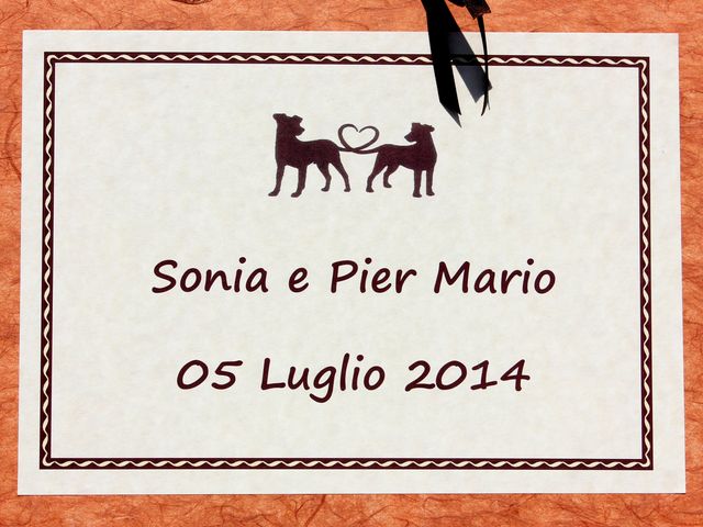 Il matrimonio di Sonia e Piero a Pizzale, Pavia 6