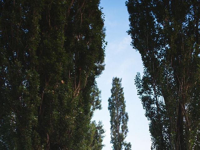 Il matrimonio di Michele  e Veronica  a Castrezzato, Brescia 8